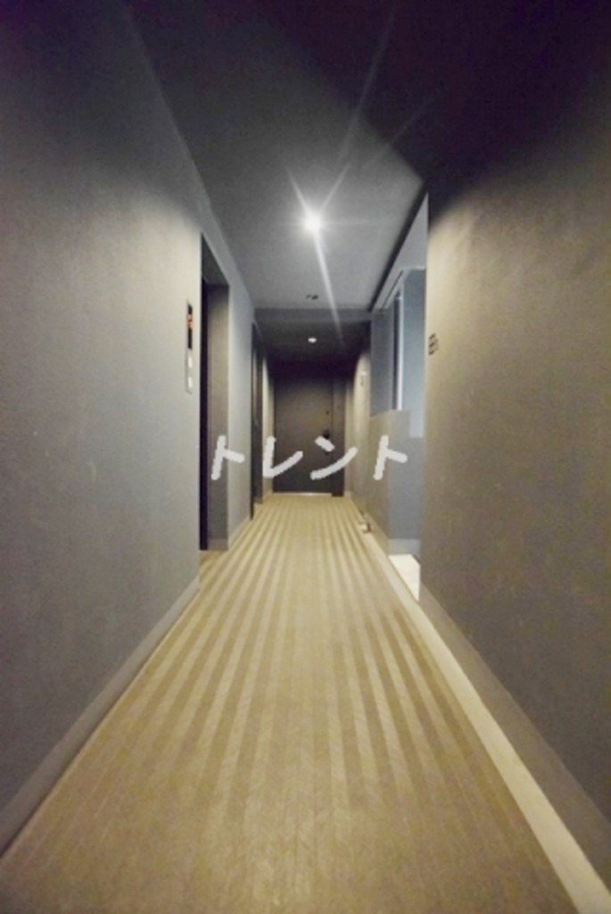 ハーモニーレジデンス千代田岩本町-1202