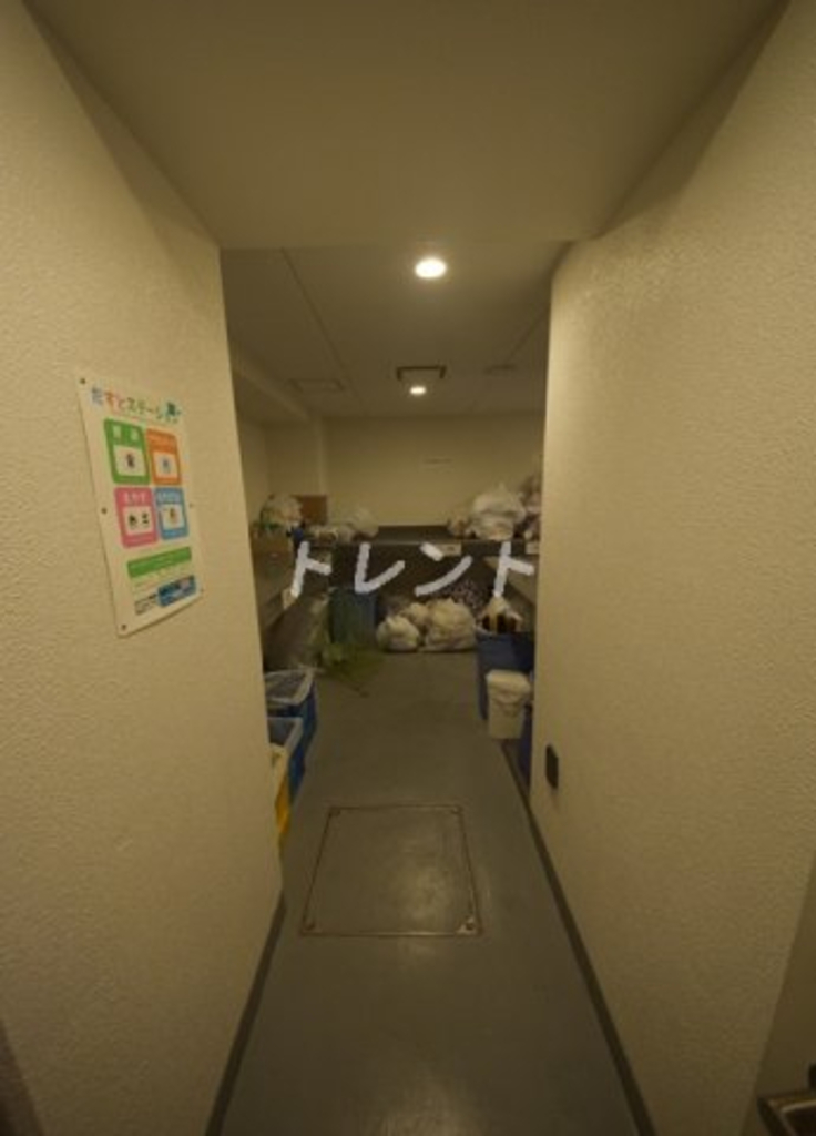 カーサスプレンディッド南麻布-401