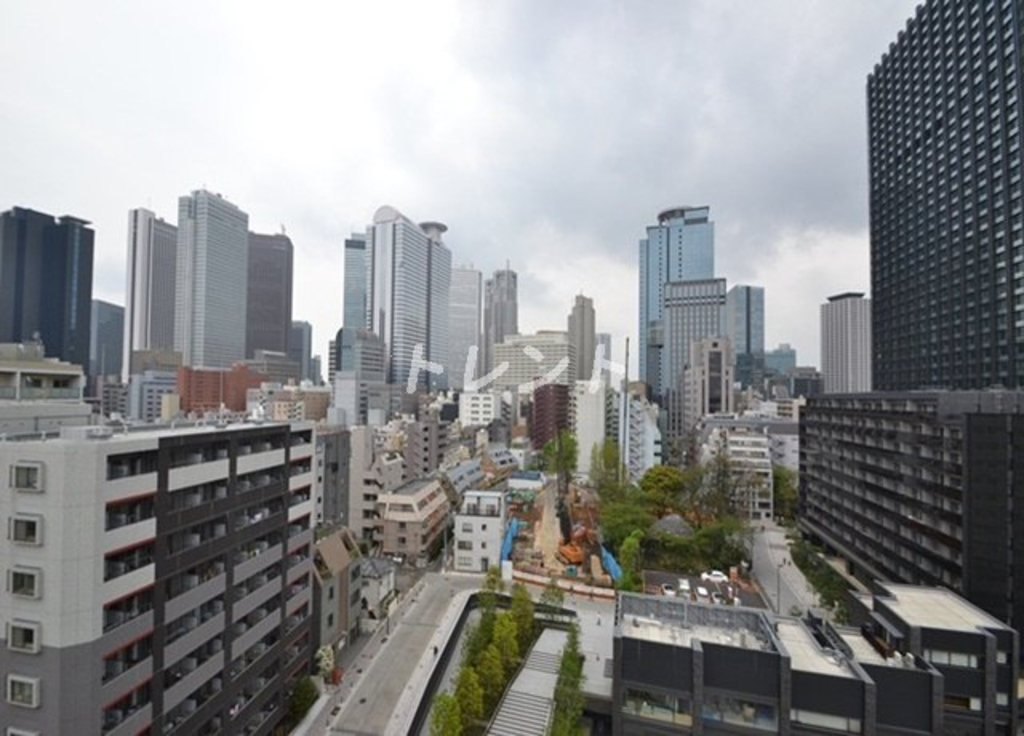 コンフォリア西新宿-302