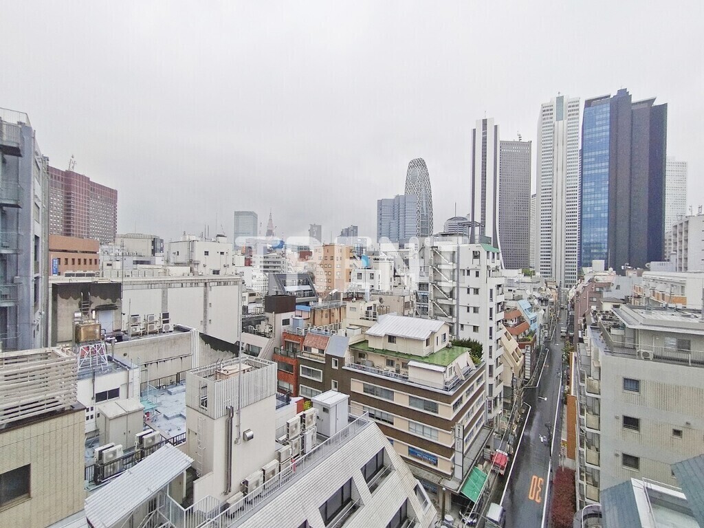 パレステュディオ新宿WEST-1002