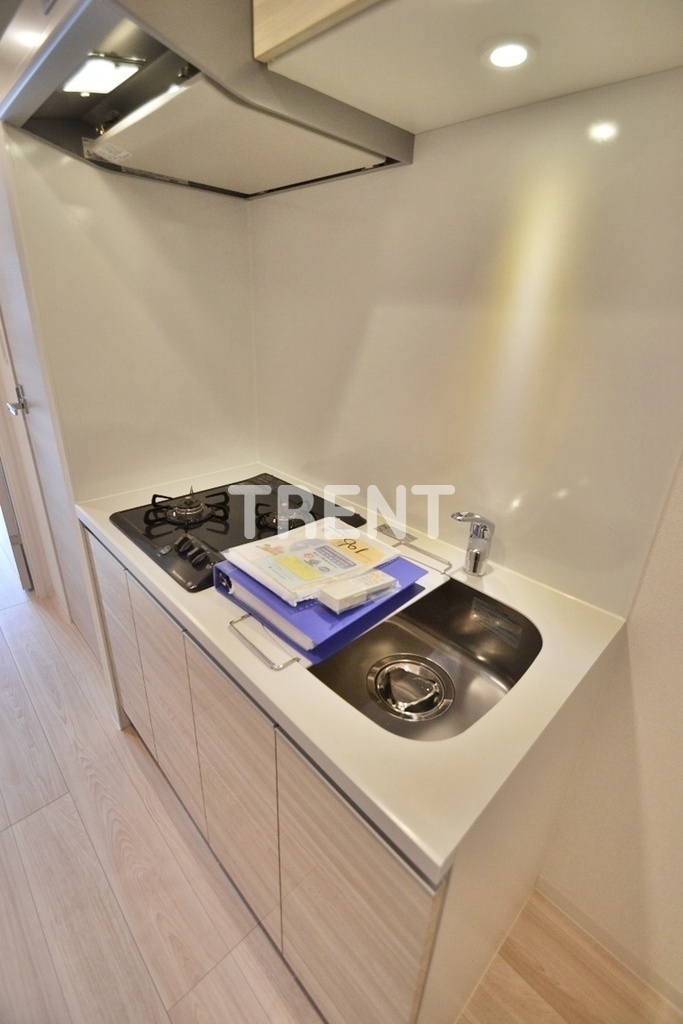 プルミエ市谷薬王寺-401