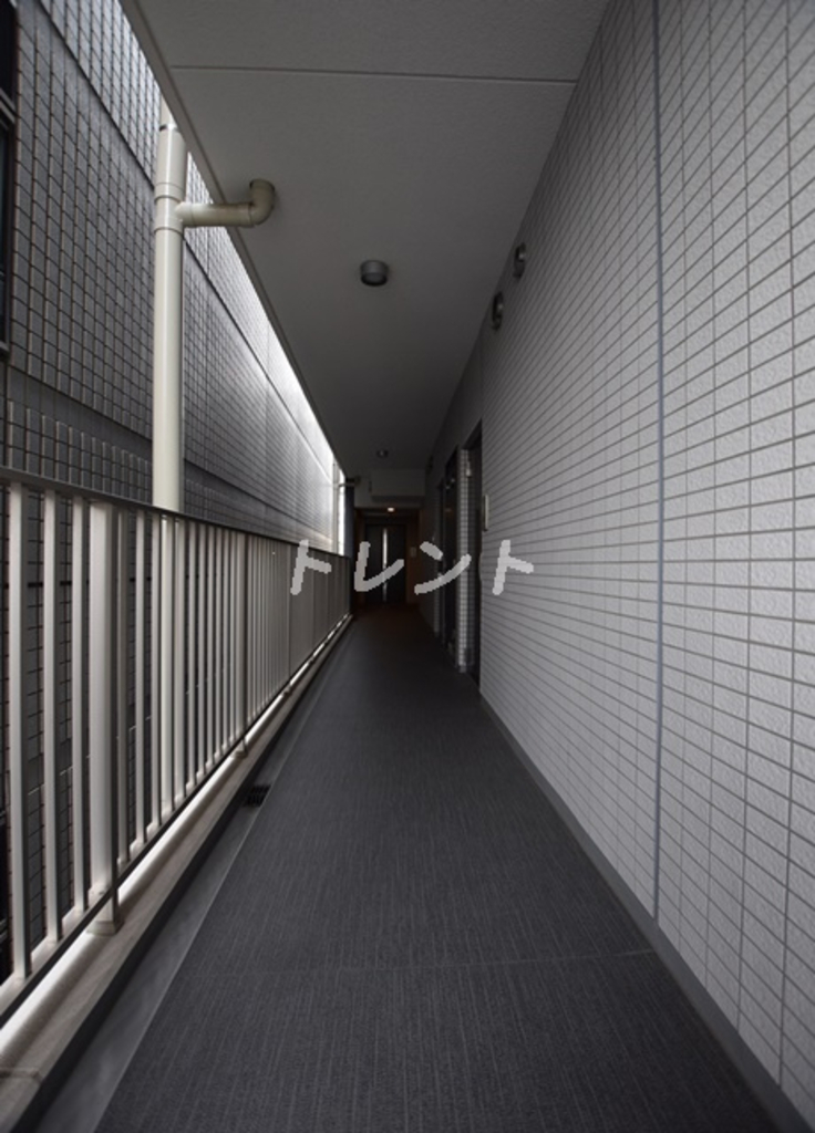 セレニティー神田-303