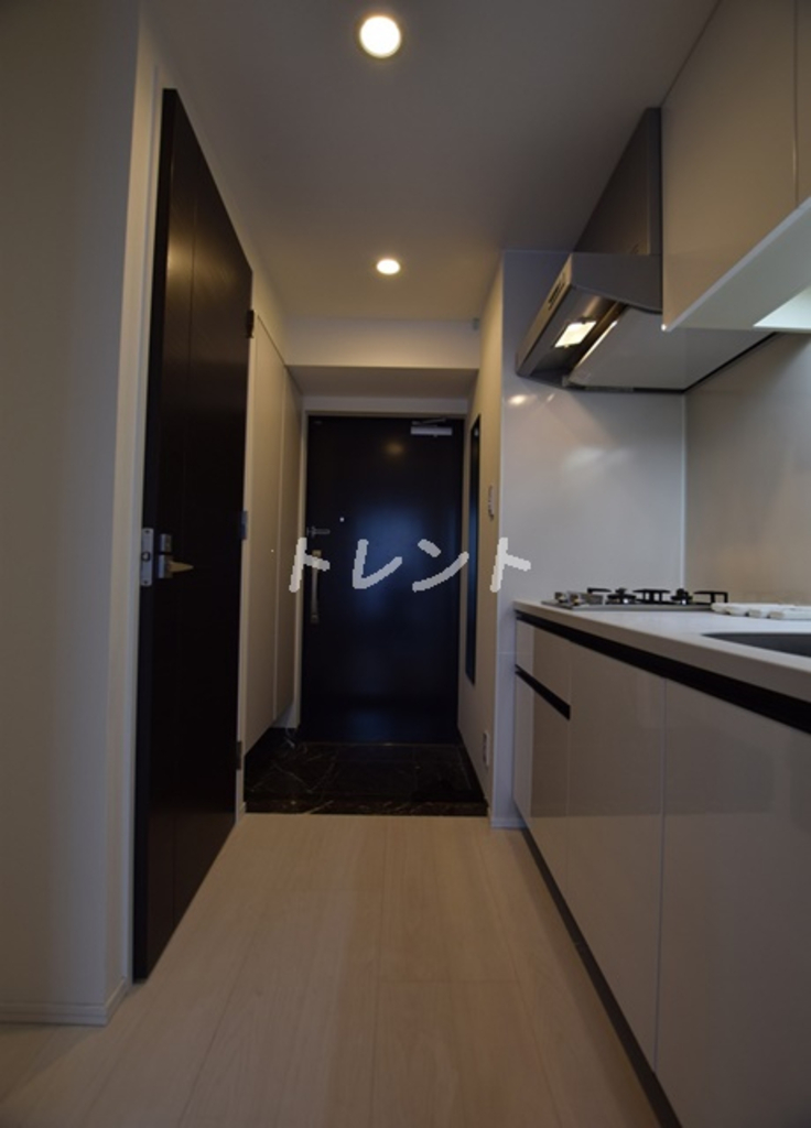 セレニティー神田-303