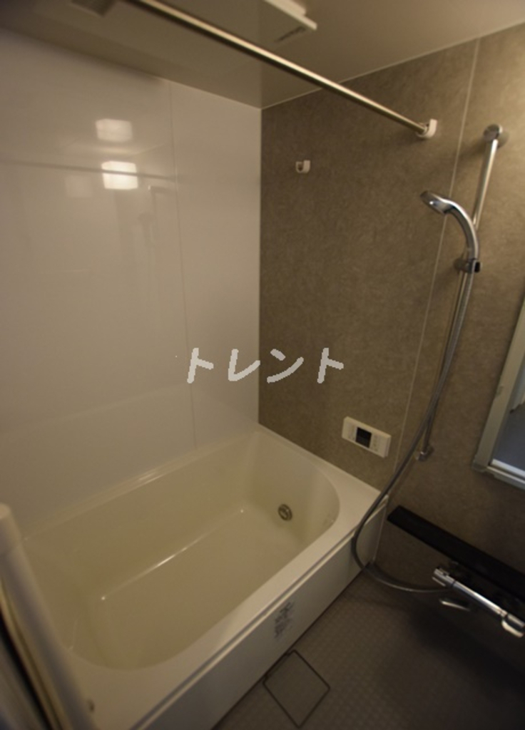 セレニティー神田-303