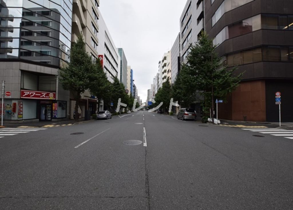 セレニティー神田-303