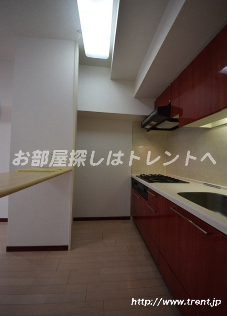 サンシティアヴァンツァーレ文京本郷-203
