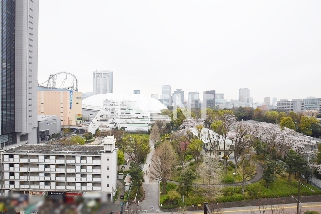 クレヴィア小石川後楽園-1003