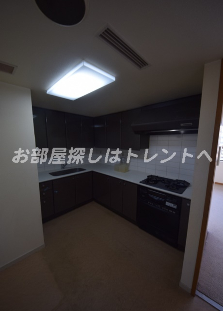 小石川パークタワー-1104