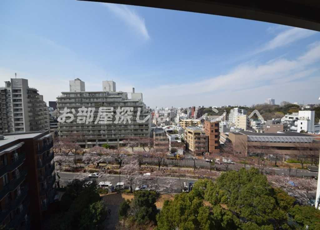 小石川パークタワー-1104