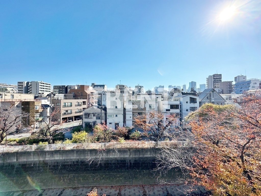 ザプレミアムキューブG東中野-308