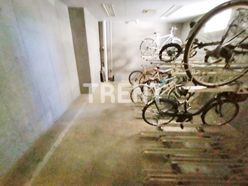 西新宿ビップロイヤル-301