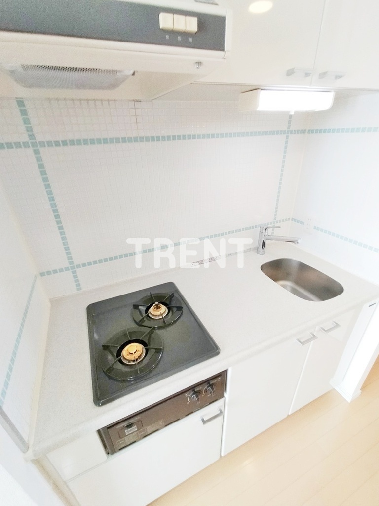 西新宿ビップロイヤル-301