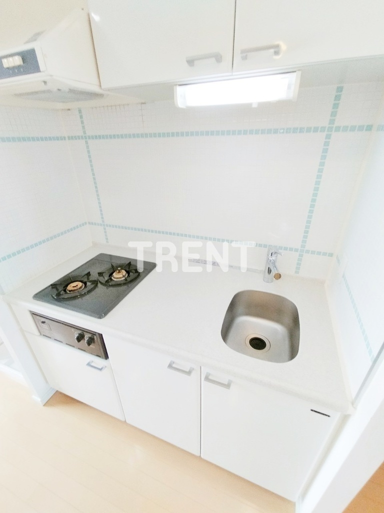 西新宿ビップロイヤル-301