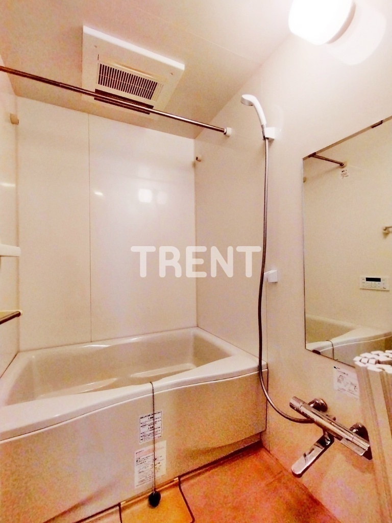 西新宿ビップロイヤル-301