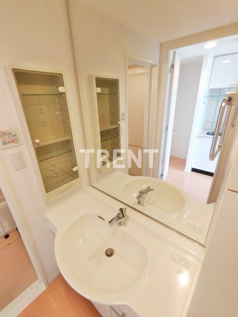 西新宿ビップロイヤル-301