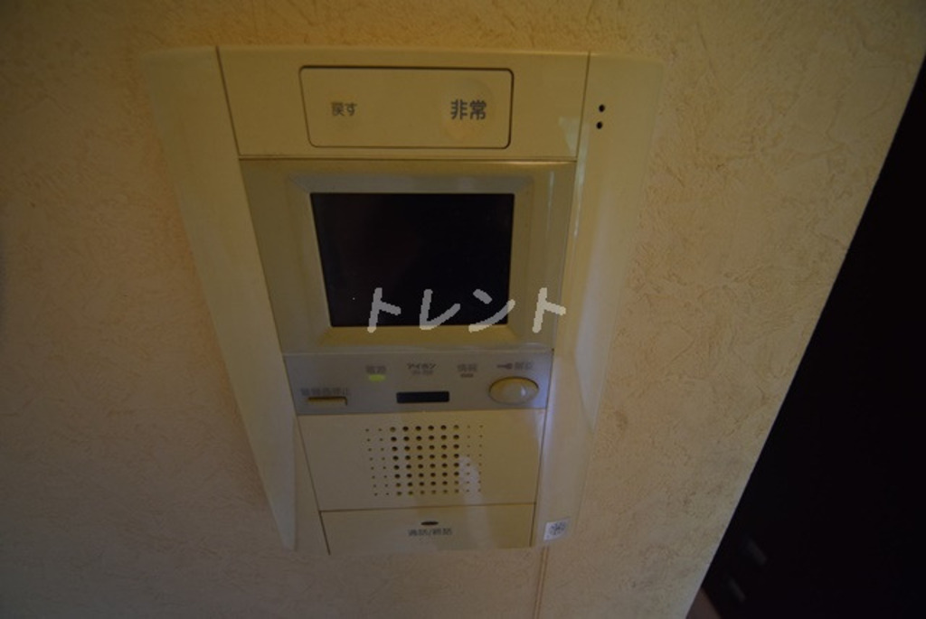 グラントゥルース弥生-703