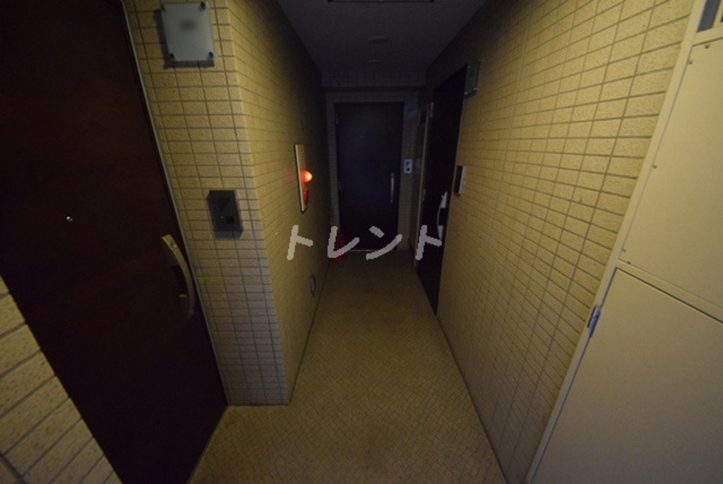 グラントゥルース弥生-703