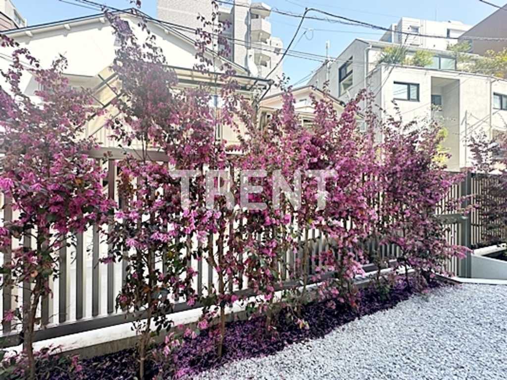 ウェルスクエア初台-502