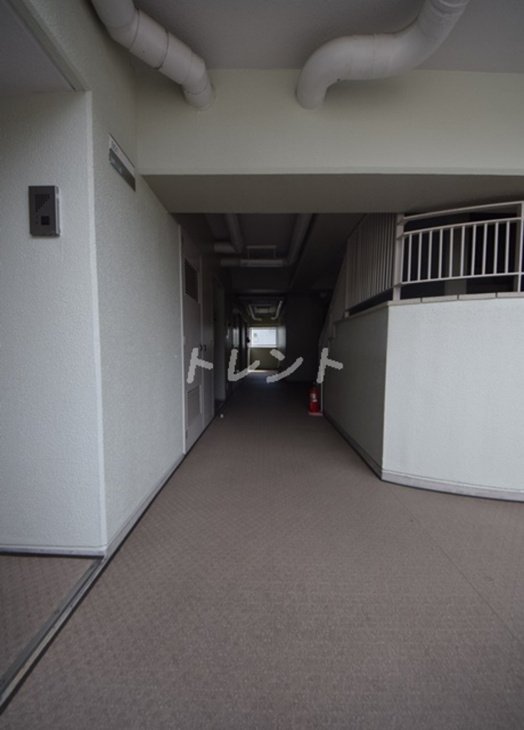 メイフラワー西片-105