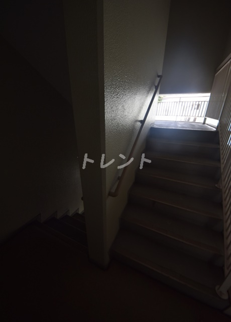 メイフラワー西片-105