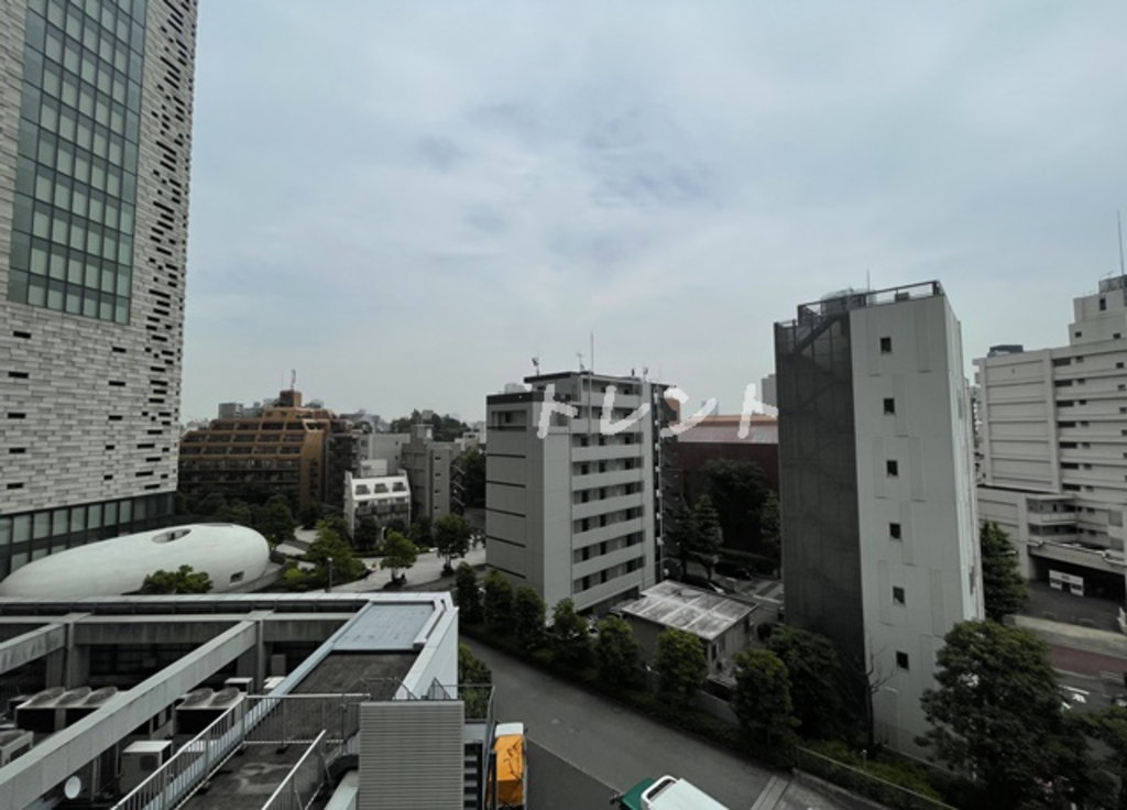 コンフォリア新宿イーストサイドタワー-2009