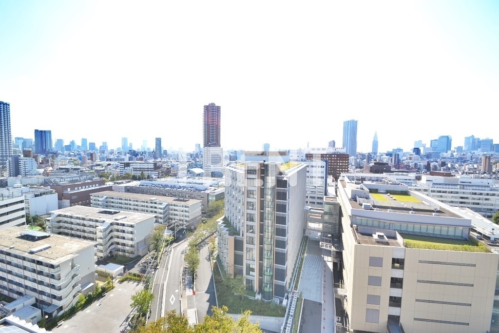 プライマル新宿若松町-1402