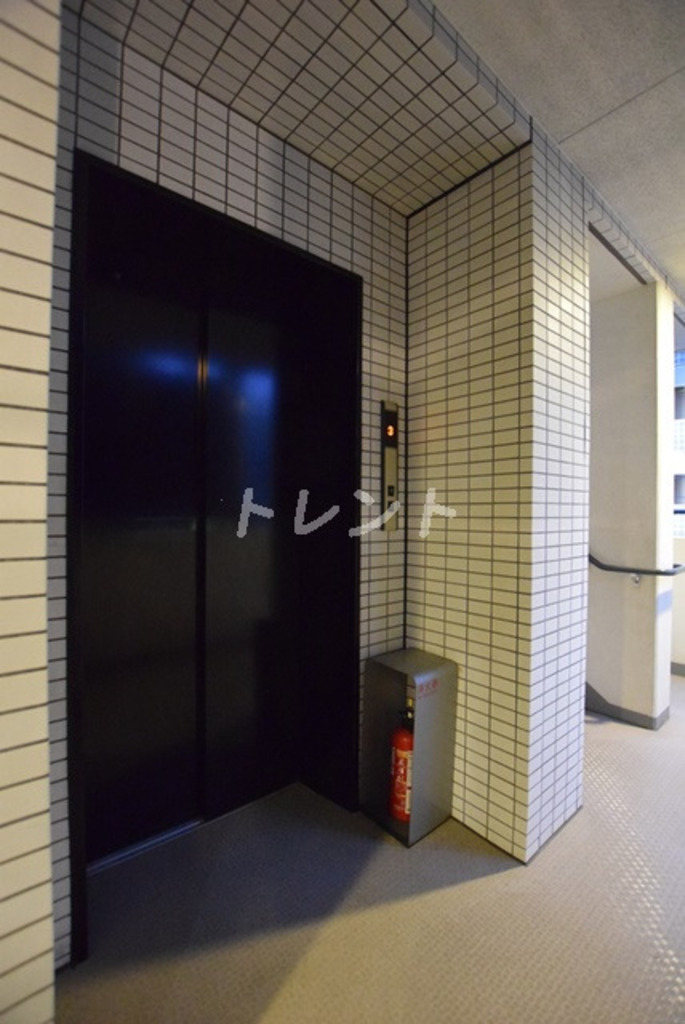 セジョリ御茶ノ水Ⅱ-1101