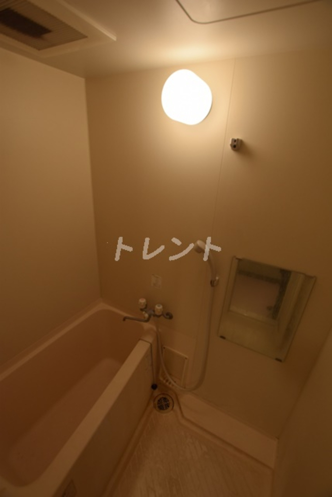 メゾンドヴィレ神田神保町-604