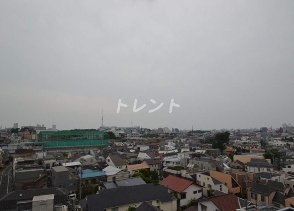 プレミアロッソ-501