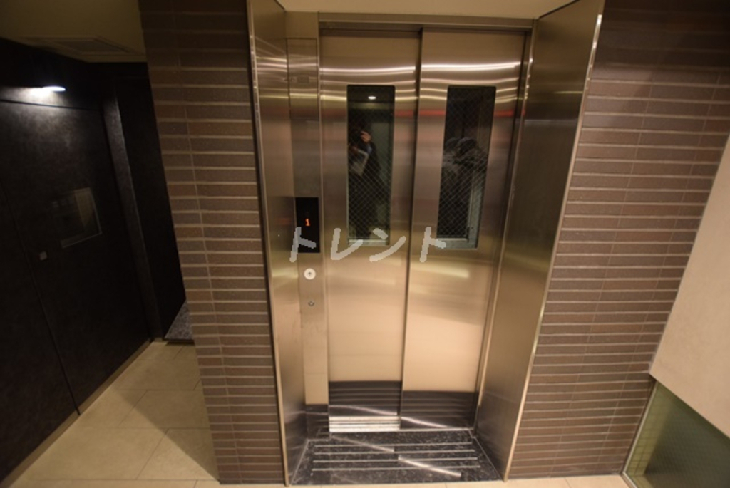 シルヴァーアウル-502