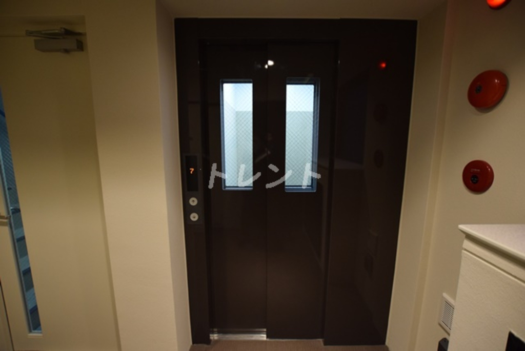 シルヴァーアウル-502