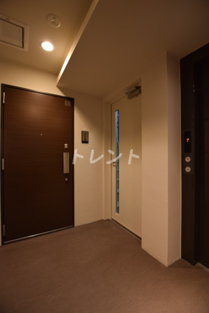 シルヴァーアウル-502