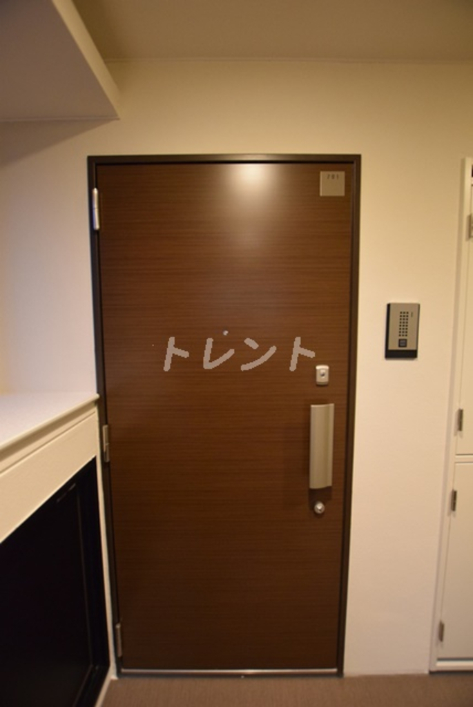 シルヴァーアウル-502