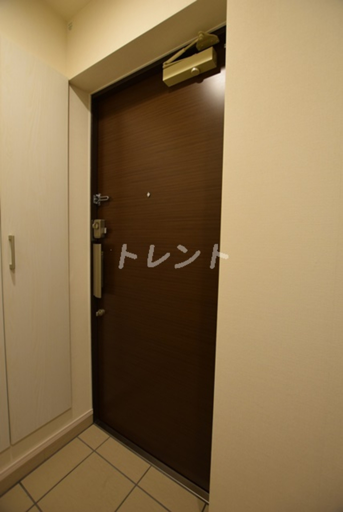 シルヴァーアウル-502