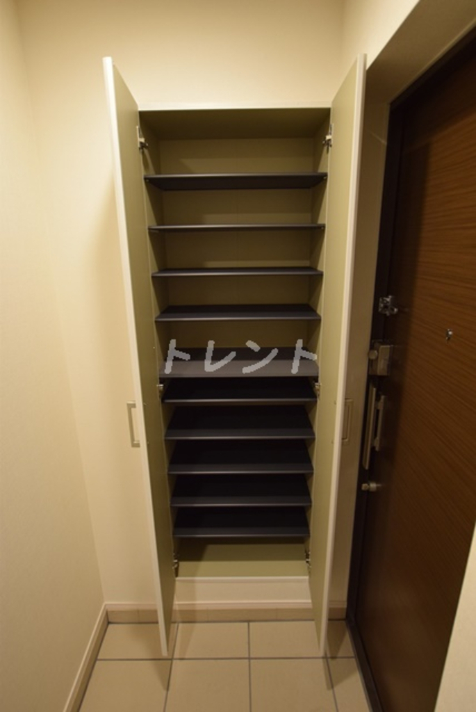 シルヴァーアウル-502