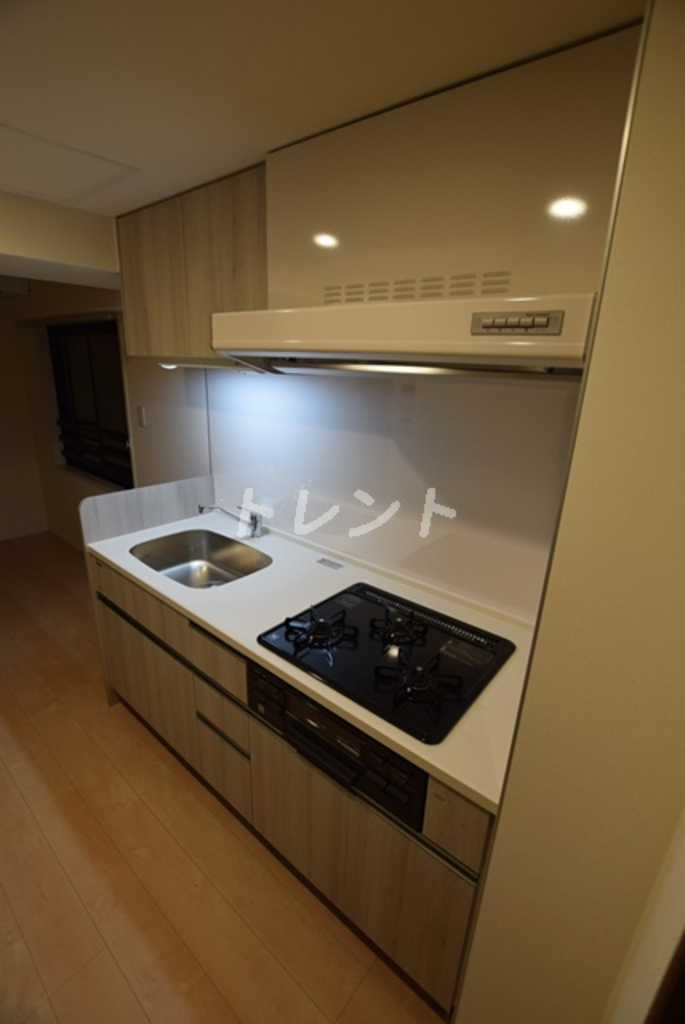 シルヴァーアウル-502