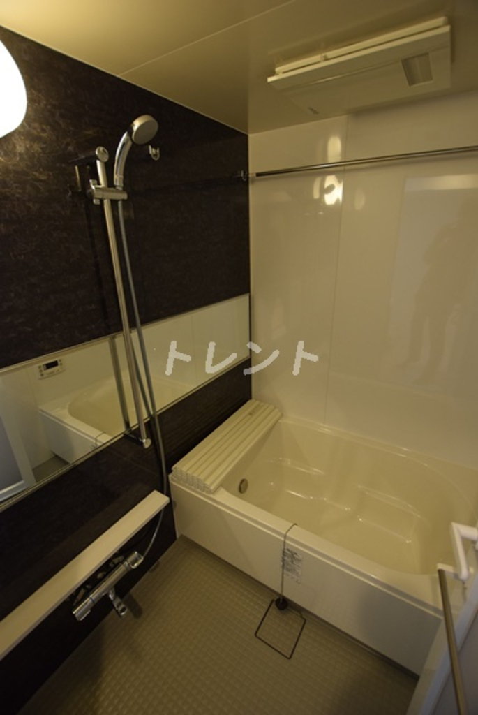 シルヴァーアウル-502