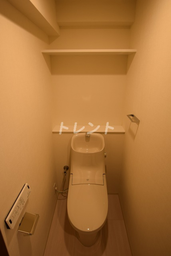 シルヴァーアウル-502