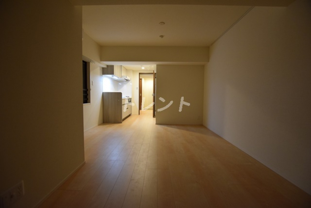 シルヴァーアウル-502