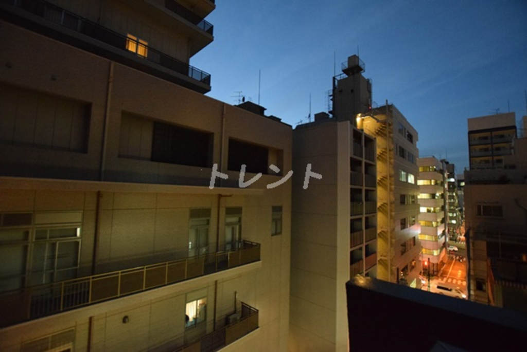 シルヴァーアウル-502