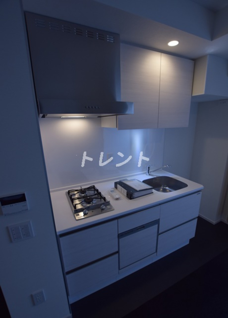 飯田橋ガーデンフラッツ-419