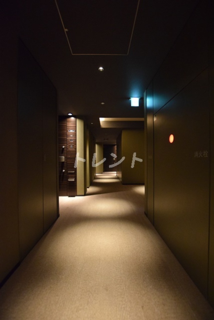クラッシィハウス神田美土代町-203