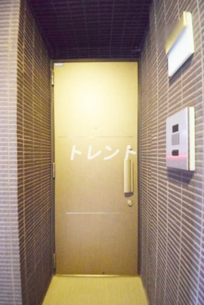 アジュール神田錦町【AZURE神田錦町】-1101