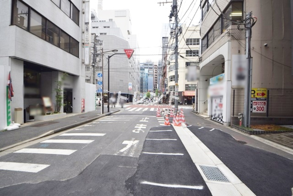 アジュール神田錦町【AZURE神田錦町】-1101
