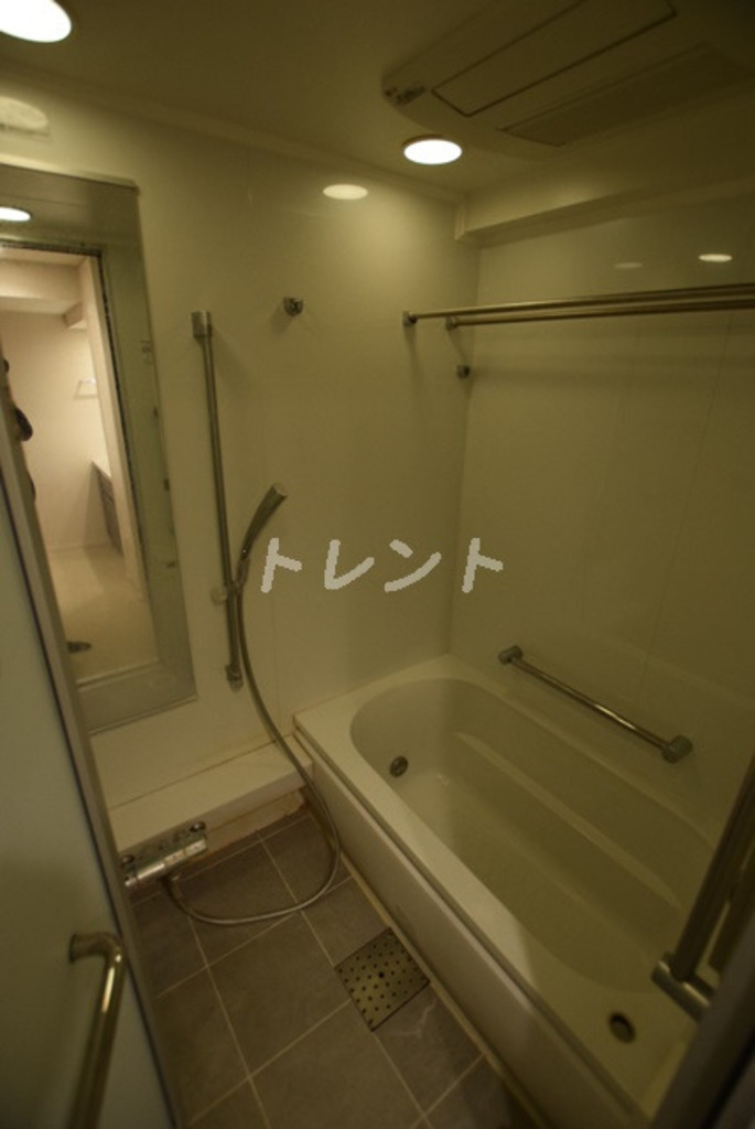 ザパークハウス小石川後楽園-308