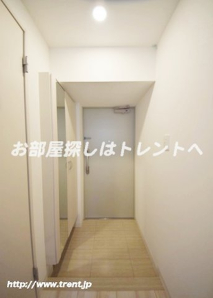 アコリエンテ【Accogliente】-801