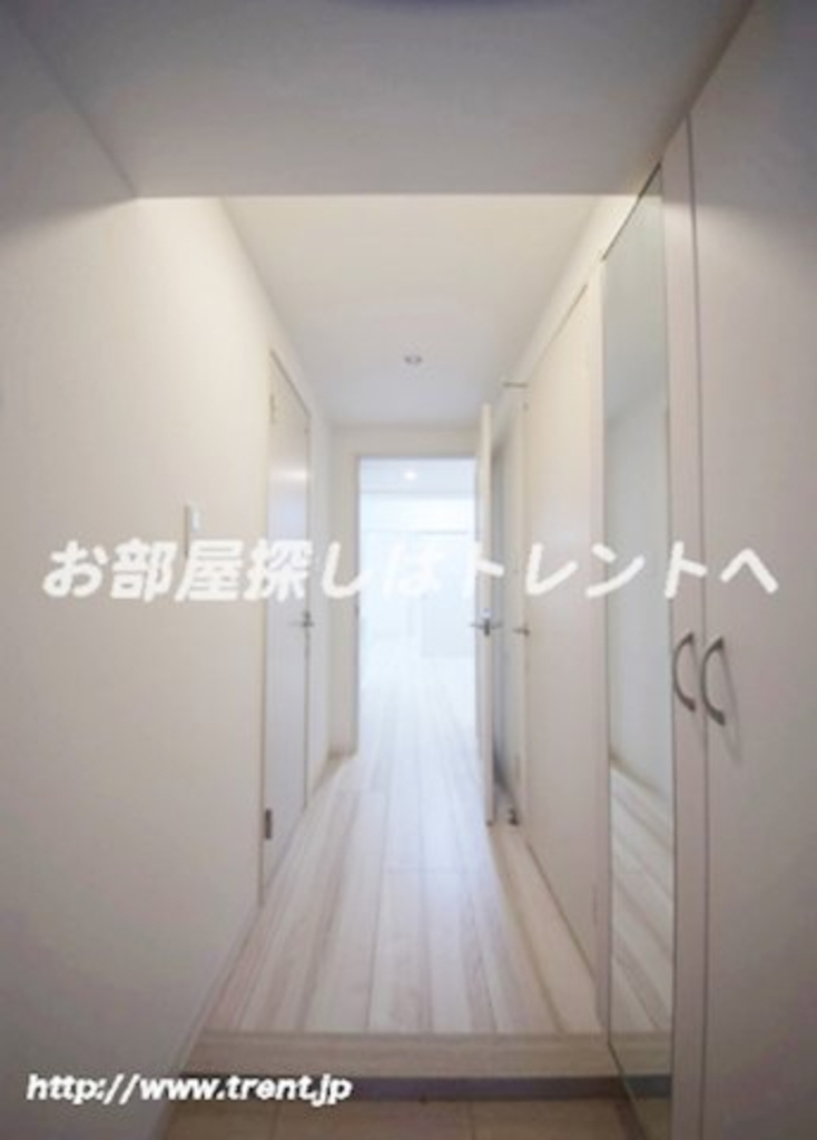 アコリエンテ【Accogliente】-801