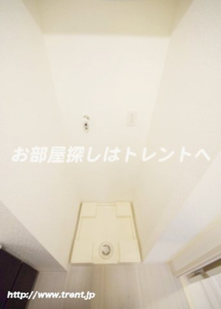 アコリエンテ【Accogliente】-801