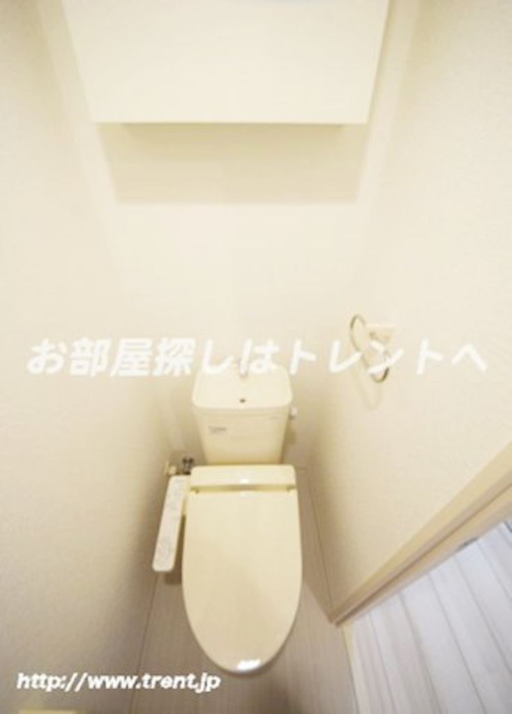 アコリエンテ【Accogliente】-801