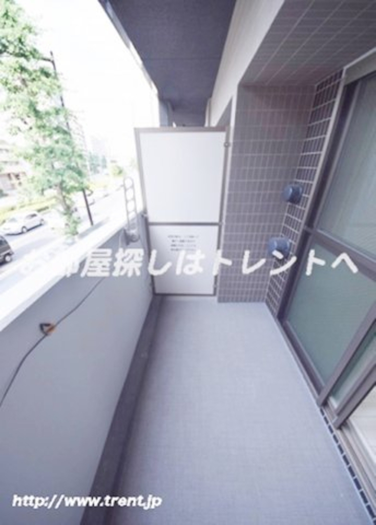 アコリエンテ【Accogliente】-801